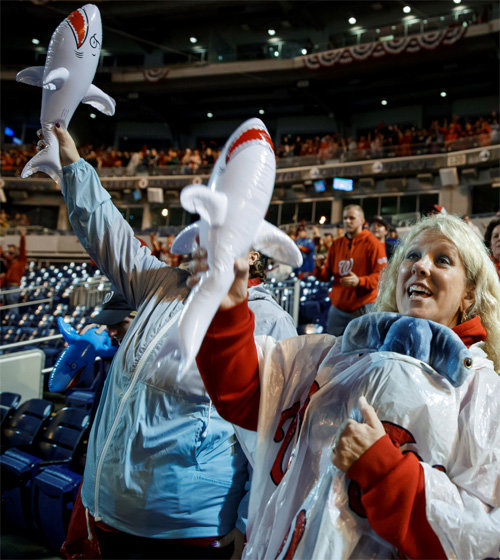 31일 워싱턴의 안방구장인 내셔널스 파크에서 워싱턴 팬들이 휴스턴과의 월드시리즈 7차전 경기 중계를 지켜보며 ‘아기 상어’ 응원을 펼치고 있다. 워싱턴=AP 뉴시스