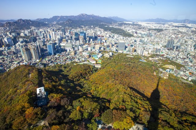 단풍이 물든 남산둘레길. 이하 서울관광재단 제공