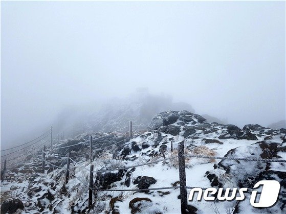 11일 오전 지리산 천왕봉에 올 들어 첫눈이 내렸다(지리산국립공원경남사무소 제공)© 뉴스1