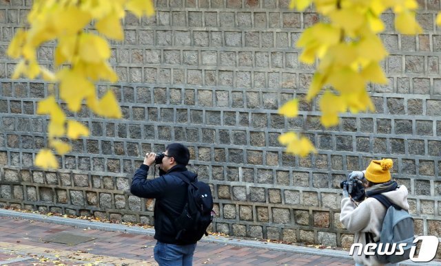 18일 서울 중국 덕수궁 인근에서 외국인 관광객들이 사진을 찍고 있다.  2019.11.18/뉴스1 © News1