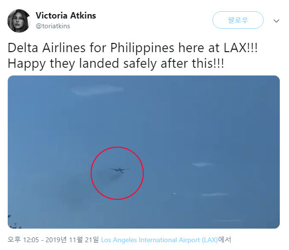 목격자가 트위터에 올린 사고 항공기 영상 캡처