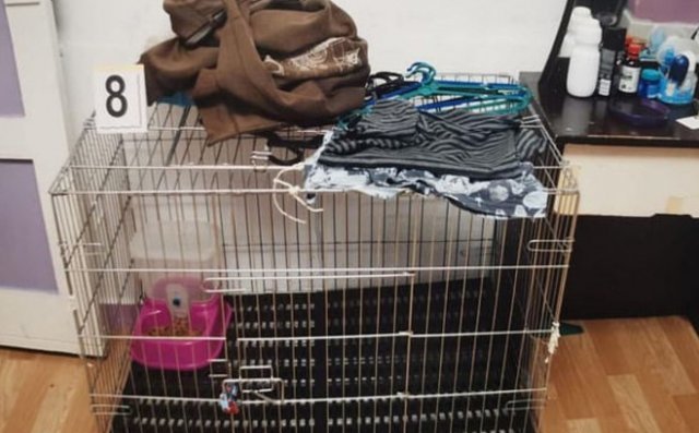 아이가 갇혀 있었던 ‘뜰장’- 데일리메일 갈무리