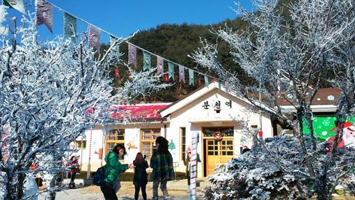 겨울 명소 산타마을로 유명해진 경북 봉화의 분천역. 사진제공｜코레일관광개발