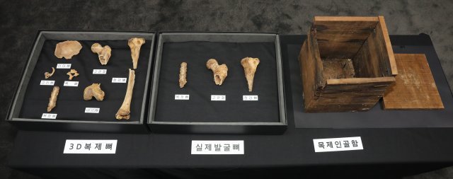 지난해 공개된 익산 쌍릉 대왕묘 출토 인골과 나무상자. 문화재청 제공