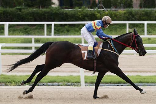 커버걸저스티스.