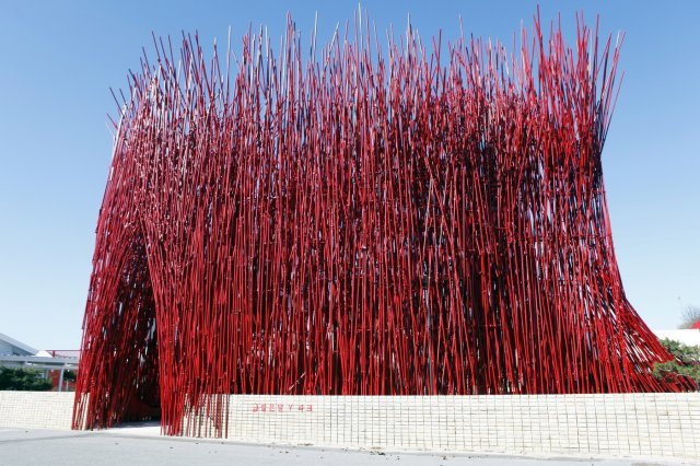 젊은달와이파크의 강렬한 첫인상 ‘붉은대나무’