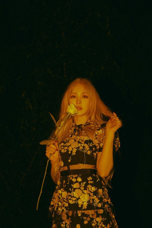 SM엔터테인먼트 © 뉴스1