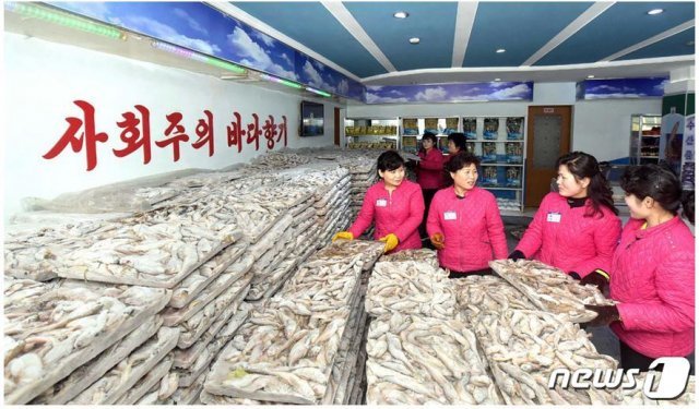 북한 선전매체 ‘조선의 오늘’이 19일 김정은 국무위원장이 보낸 물고기를 받은 주민들의 사진을 공개했다.(‘조선의 오늘’ 캡처)© 뉴스1