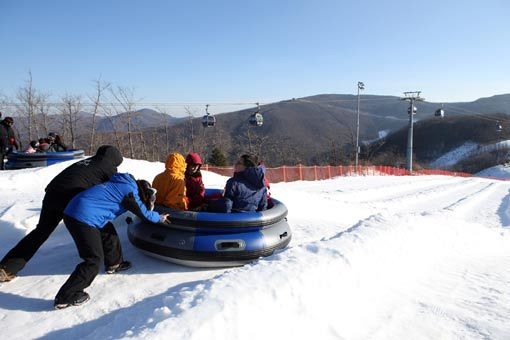 이번 겨울시즌 새로 개장한 눈놀이테마파크 ‘스노우월드’에서 튜브 눈썰매를 즐기는 방문객들. 사진제공｜강원랜드