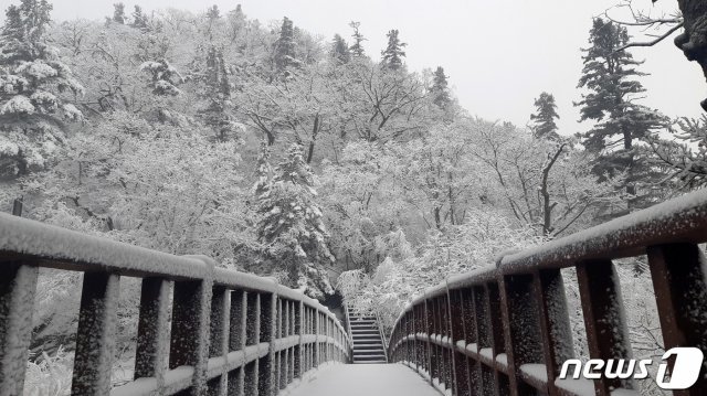 많은 눈이 내린 8일 강원도 설악산국립공원 정상부인 대청봉 등 탐방로 일원이 하얀 눈으로 뒤덮여 있다. (설악산국립공원사무소 제공) 뉴스1