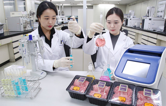 현대그린푸드 식품위생연구소 연구원들이 한우 품질 검사를 하고 있다.