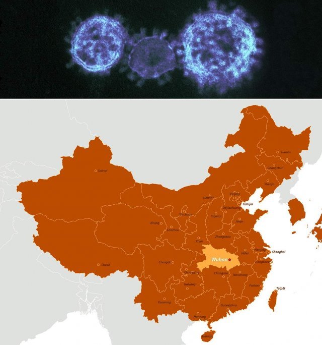 중국 우한을 중심으로 퍼지고 있는 신종 코로나바이러스(2019-nCoV)와 확산 지도. 대만과 일본, 한국도 중국 입국객 중 확진 환자가 보고되었습니다. 출처 미국질병통제예방센터(CDC), 유럽바이러스정보포털(EVAg)