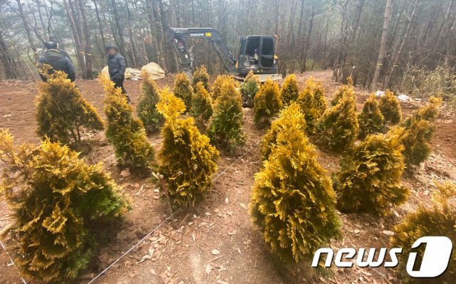 고 신격호 롯데그룹 명예회장이 22일 고향인 울산시 울주군 삼동면 둔기리 선영에 안장될 예정이다. 이날 오전 장례 관계자들이 고 신회장의 장지를 둘러보고 있다. 2020.1.22/뉴스1 © News1