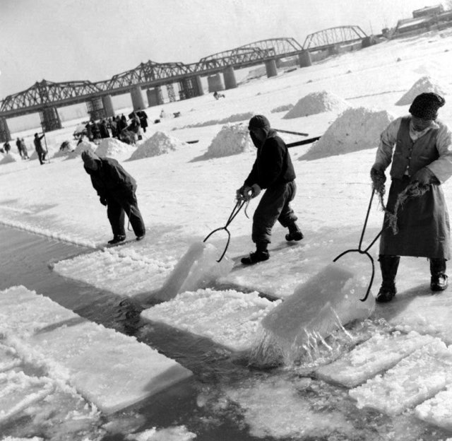 1957년 한강이 꽁꽁 얼었을 때 인부들이 채빙(採氷) 작업을 하고 있는 모습입니다. 1950년대까지만 해도 겨울이면 한강에서 얼음을 채취해 빙고(氷庫)에 저장했다가 여름에 사용했습니다. 국가기록원 제공.