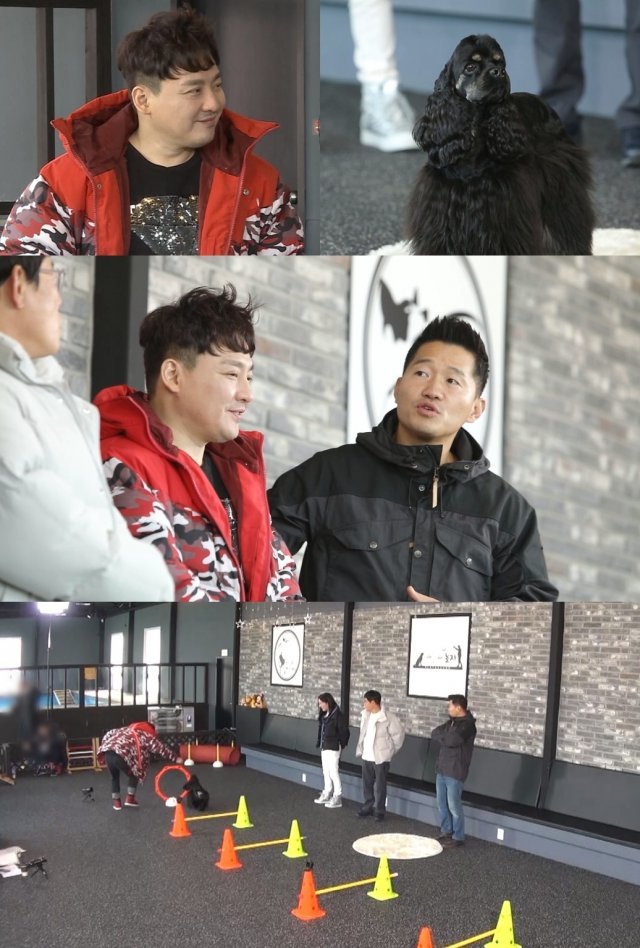 KBS 2TV ‘개는 훌륭하다’ © 뉴스1