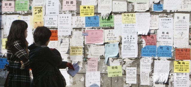 2010년 1월 28일 학생들이 담벼락에 붙은 하숙, 전월세 전단지를 살펴보고 있다. 홍진환 기자 jean@donga.com