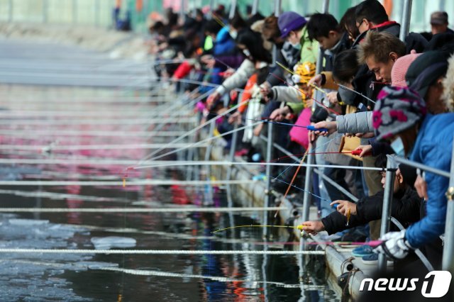 2일 강원 화천군 2020화천산천어축제장에서 관광객들이 ‘얼음 대낚시’를 즐기고 있다. 화천군은 수상에 폰툰을 설치해 얼음낚시를 즐길 수 있도록 했다.2020.2.2/뉴스1 © News1