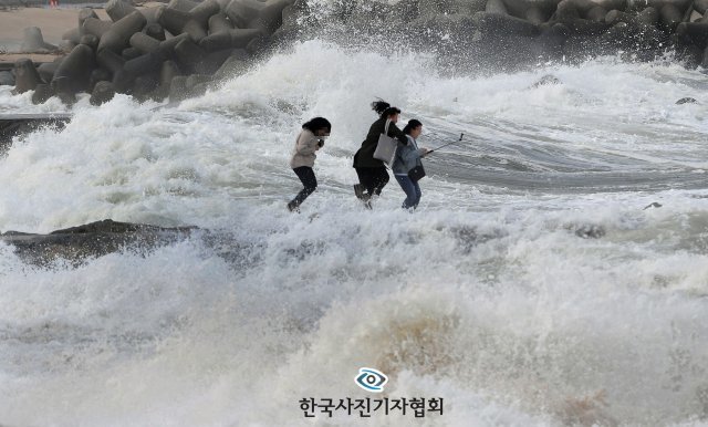 태풍 하기비스의 영향으로 동해안에 높은 파도가 일고 있는 가운데 13일 강원 강릉시 주문진읍 영진해변 ‘도깨비 촬영지’ 방파제에서 기념사진을 찍던 관광객들이 높은 파도에 위험천만한 상황을 연출하고 있다.
＜강원일보/권태명기자＞