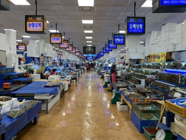 < 사람을 찾기 어려웠던 노량진수산시장, 출처 : IT동아 >