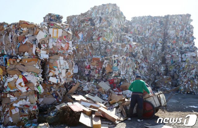 이모씨(67)가 지난 14일 오전 제주시 화북동의 한 폐지처리업체에서 모아온 폐지들을 정리하고 있다. © News1