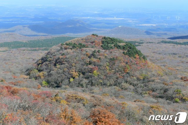 제주도 세계유산본부는 약 2600년에 제주 돌오름에서 화산분출 흔적이 확인됐다고 24일 밝혔다.  사진은 돌오름 전경. (제주도 제공) /© 뉴스1