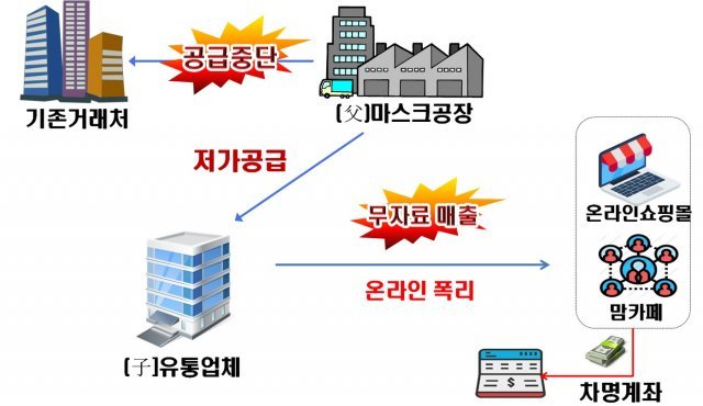 마스크 이용 주요 탈루 사례.(국세청 제공)© 뉴스1