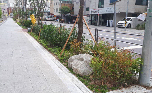 서울 중랑구에 설치된 빗물 흡수 띠녹지(도로를 따라서
띠처럼 이어지는 녹지) 시설의 모습. 서울시 제공