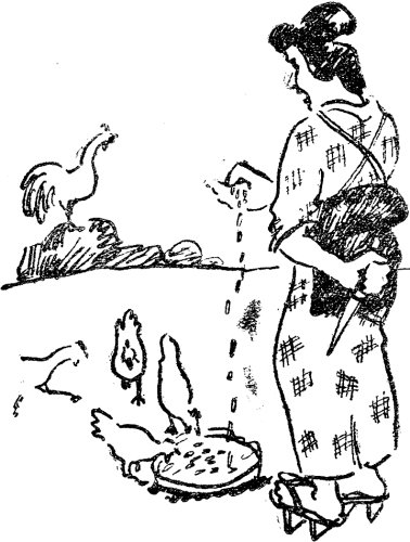 1924년 11월 5일자 1면에 실린 ‘동아만화’. 나막신을 신은 일본 여자가 비수를 숨긴 채 닭에게 모이를 주는 장면을 그려 일본인의 이중성을 고발했다.