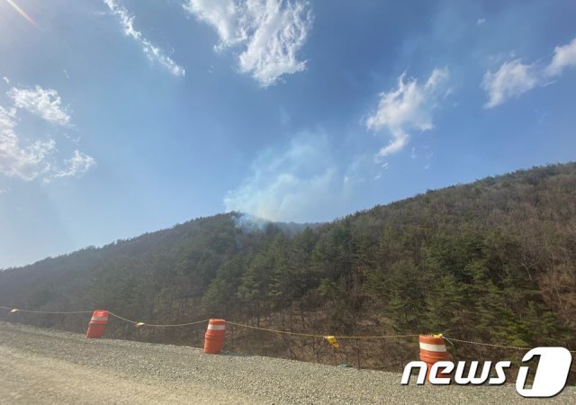 19일 오후 1시47분께 울산 울주군 웅촌면 대복리 502 일원 야산에서 불이 나 연기가 퍼지고 있다. © News1