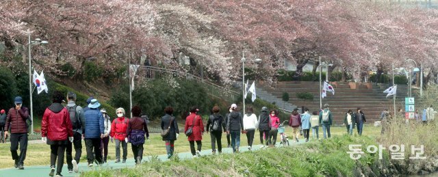 22일 부산 동래구 동래온천천에서 많은 시민들이 벚꽃 아래서 산책을 하고 있다. 부산=박경모기자 momo@donga.com