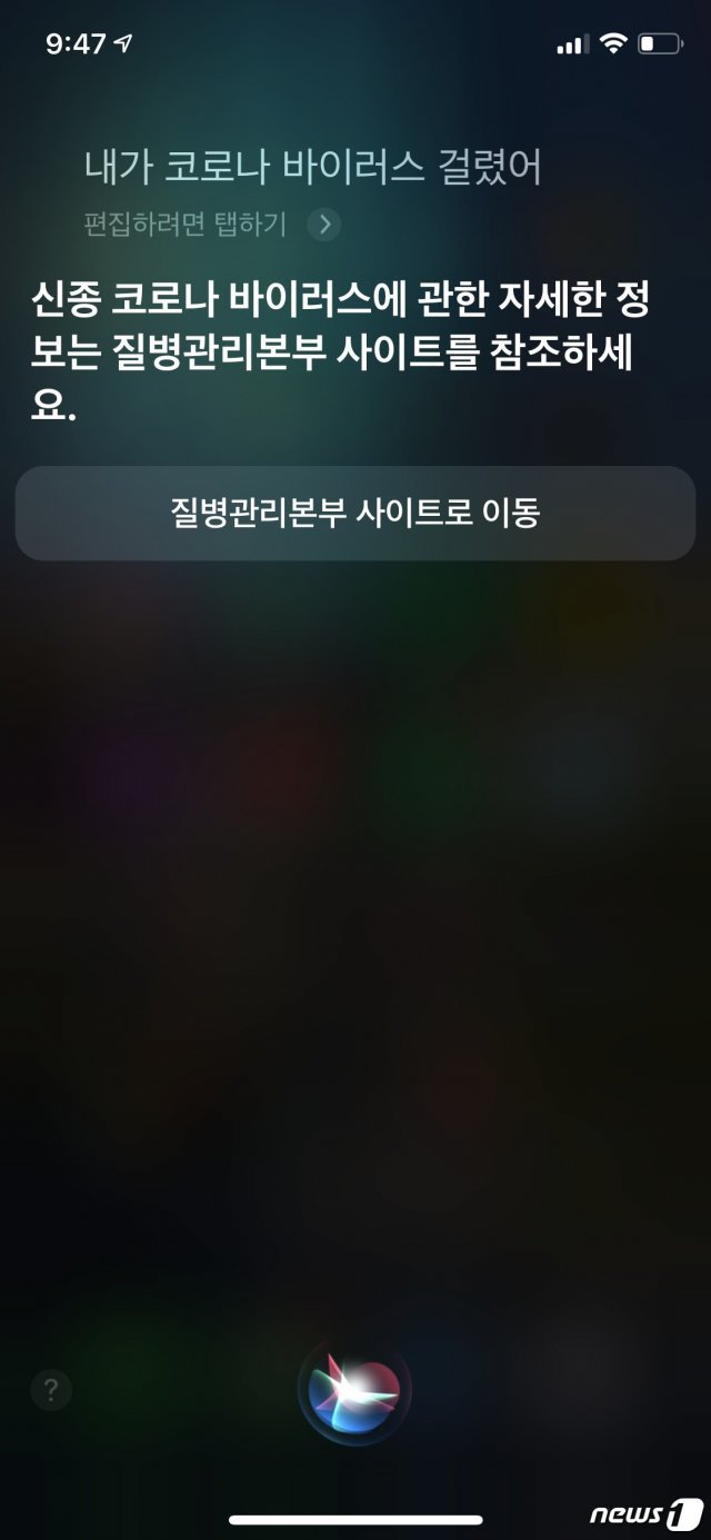 한국에서 시리를 통해 코로나바이러스 관련한 정보를 찾으면 질병관리본부 홈페이지를 안내해준다. © 뉴스1