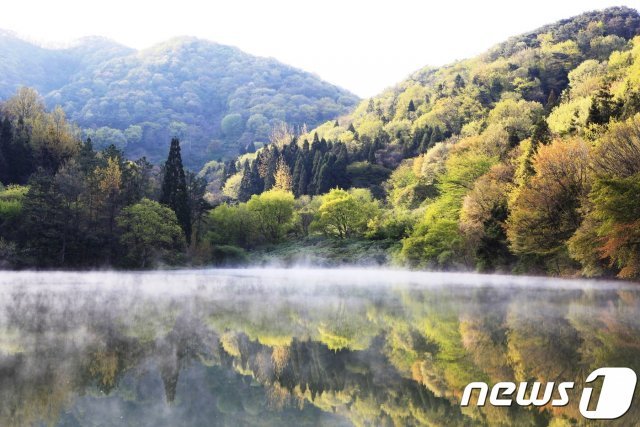 전남 화순군(군수 구충곤)은 4일부터 세량지 방문객을 통제하고 단체 출사를 금지한다고 밝혔다. 전남 화순 8경 중 하나인 세량지. © News1