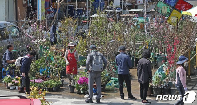 식목일을 앞둔 3일 울산 울주군 남창옹기종기시장에서 시민들이 묘목을 구입하고 있다. © News1