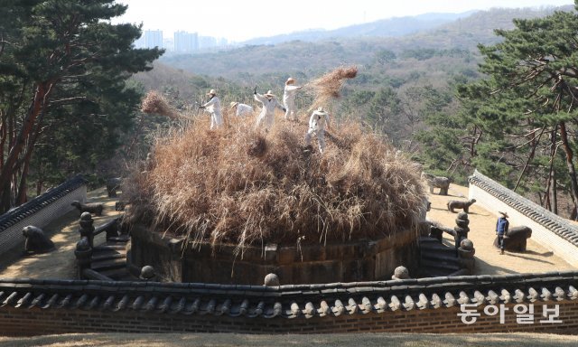 한식인 5일 경기도 구리시 인창동 동구릉에서 예초꾼들이 건원릉의 봉분을 덮고 있는 억새를 베고 있다.