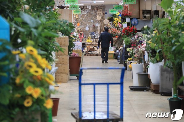 6일 오후 서울 서초구 양재동 꽃시장 지하상가가 한산하다. 신종 코로나바이러스 감염증(코로나19) 확산으로 졸업식과 입학식 등 각종 행사가 취소되거나 축소되면서 화훼농가와 관련업계가 직격탄을 맞고 있다. © News1