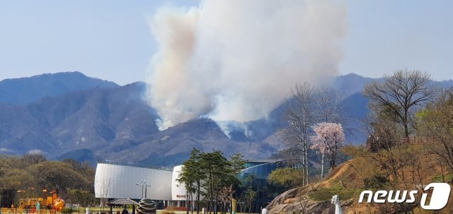 8일 오후 1시21분쯤 경남 함양군 병곡면 한 야산에서 불이 나 연기가 치솟고 있다.(경남도 산불방지대책본부 제공)© 뉴스1