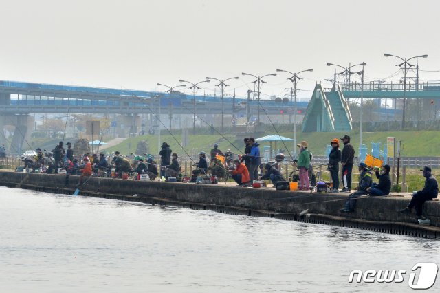 7일 오후 강태공들이 경북 포항시 남구 해도동 포항운하 선착장에서 제철 생선인 학꽁치 낚시를 하고 있다.  © News1