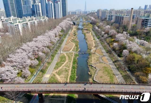 주말인 5일 서울 강남구 양재천 산책로가 텅 비어있다. 강남구는 이날 자정까지 신종 코로나바이러스 감염증(코로나19) 확산 방지를 위한 ‘사회적 거리두기’를 위해 양재천 전 구간을 전면통제했다. © News1