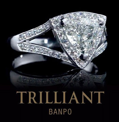 대한민국 하이엔드 주택의 새로운 이정표가 될 ‘TRILLIANT BANPO’. 사진제공=대우건설