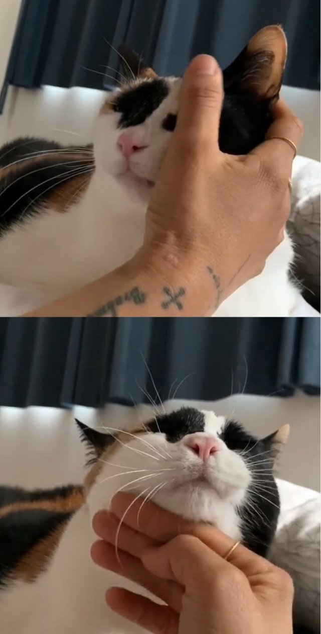 이효리 인스타그램 © 뉴스1