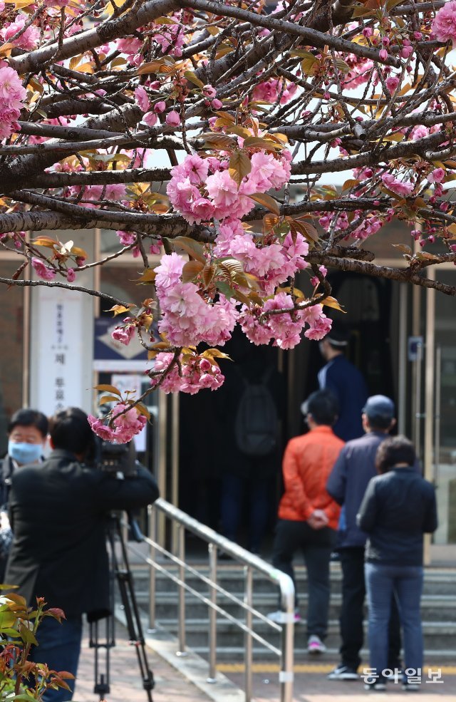 봄 선거
15일 오전 서울 용산구 원효로 성심여고에서 봄꽃 아래 유권자들이 투표를 위해 줄을 서 있다. 송은석 기자 silverstone@donga.com