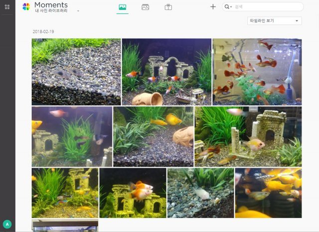 시놀로지 모먼트 서비스 (출처=IT동아)