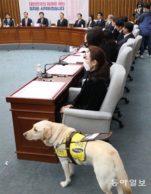 17일 국회에서 열린 미래한국당 중앙선거대책위원회 해단식에 시각장애인 피아니스트 김예지 당선자가 안내견 ‘조이’와 함께 참석했다. 국회는 그동안의 관행을 바꿔 본회의장과 상임위원회 회의장에 안내견 출입을 허용할 것을 검토하고 있다. 김재명 기자 base@donga.com