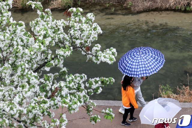 절기상 ‘곡우’인 19일 오후 서울 청계천 영도교~황학교 구간에서 시민들이 우산을 쓴 채 발걸음을 재촉하고 있다. 2020.4.19 © News1
