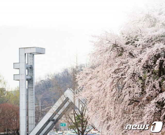 서울대학교 정문 (서울대학교 제공)