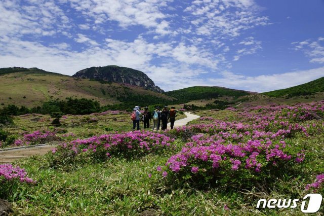 제주도 한라산국립공원관리소는 5월1일부터 8월31일까지 탐방객들의 편의를 위해 한라산 입산 시간을 코스별로 30분에서 최장 1시간 연장한다고 30일 밝혔다. © 뉴스1