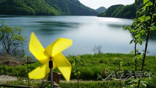 산속이라고 믿어지는 않는 너른 면적을 자랑하는 고즈넉한 정경의 대아호. 완주|김재범 기자 oldfield@donga.com