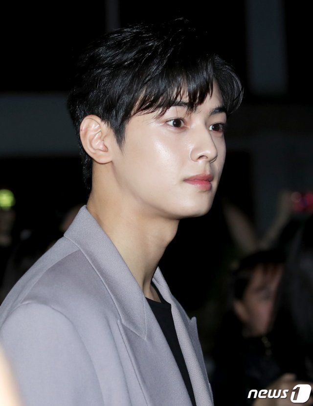 아스트로 차은우/뉴스1 © News1