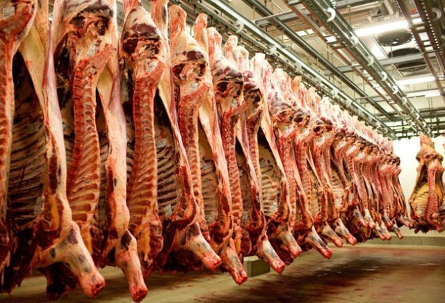 중국으로 수출되는 호주산 쇠고기들. FoodMag.au