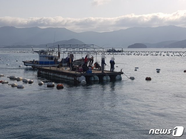 지난 22일부터 24일 3일간 진행된 낚시어선 등 특별단속 기간 중 최대 승선인원을 약 3배 초과한 어선이 통영해경에 적발됐다. 사진은 바지선에서 낚시하는 낚시객들 모습.(통영해경 제공)2020.5.26.© 뉴스1